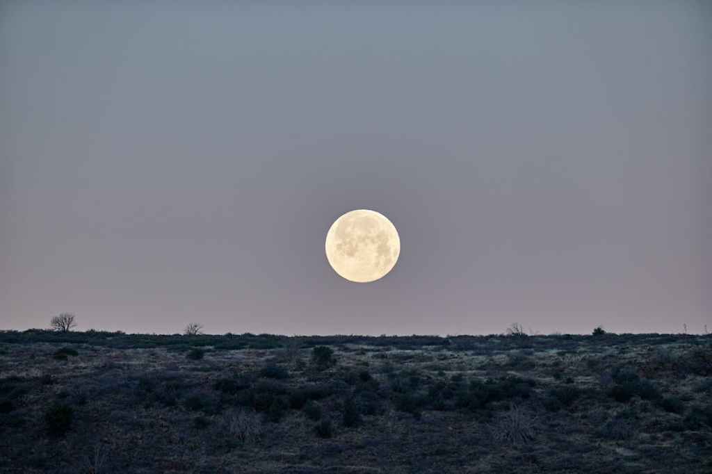 An image of a white moon over grey moorland and shrubbery.